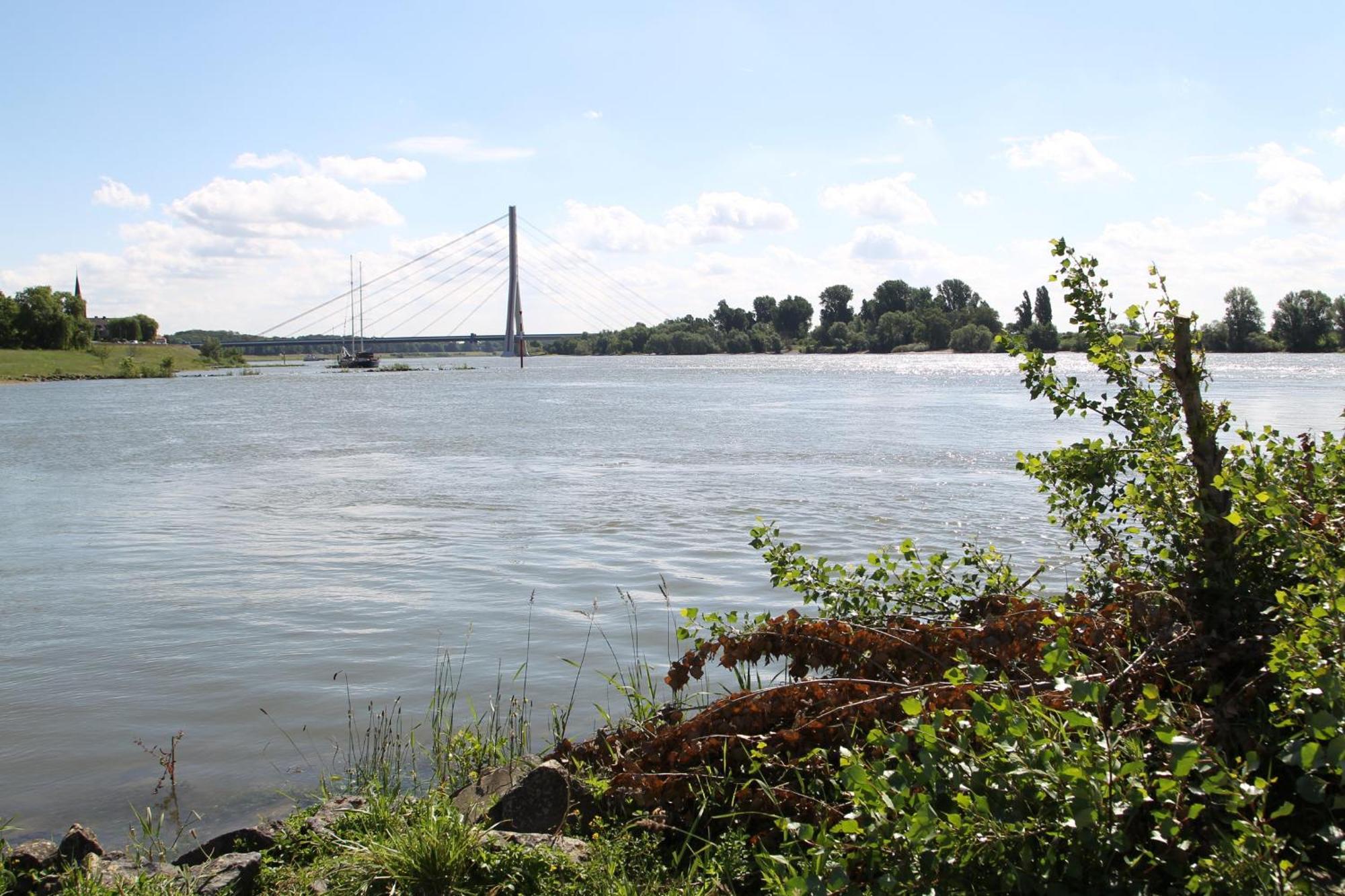 Hotel Faehrhaus Km734 Düsseldorf Exteriör bild